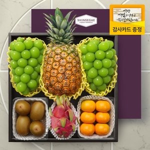 라라르떼 [명절이후 순차출고][산지직송] 썬샤인 4호 과일 선물세트 (5종) 4.6kg (보자기 포장)