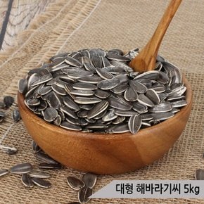 건강알곡 대형 해바라기씨 5kg 앵무새 햄스터 간식