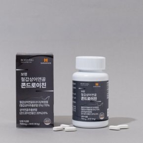 철갑상어 연골 콘드로이친 700mg x 90정