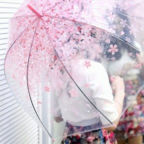 화사한 체리블라썸 우산 1+1 벚꽃 우산 4종 (옵)