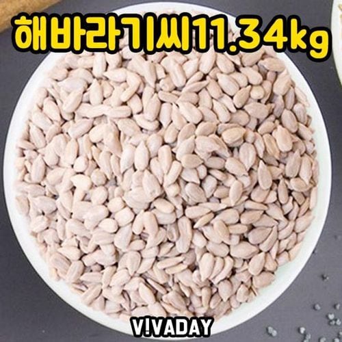 이미지1