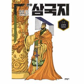 만화 삼국지 (14) 운명에 맞서다