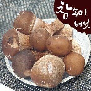 [산지직송] 국내산 참송이버섯 500g (상/못난이 랜덤)