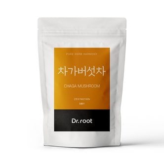 닥터루트 차가버섯 삼각티백 100T