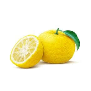 요와나이 초야 유즈슈 350ml 1캔 유자 맛 하이볼 무알콜 논알콜