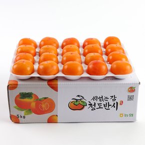 부드럽고 달콤한 씨 없는 청도반시5kg소과(49과이내)