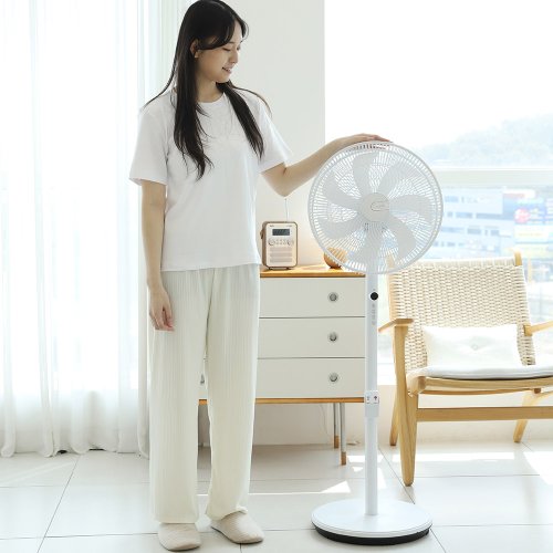 이미지6