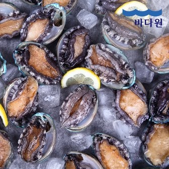 바다원 산지직송 완도 활전복 1kg (50-60미 내외) 싱싱한 전복