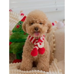 강아지 고양이 목도리 크리스마스 케이프 대형 애견 스카프 2종