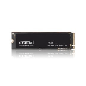 Crucial P310 M.2 NVMe 아스크텍 (500GB)-Ms