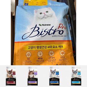 (300g 20봉) 뉴트리나 비스트로 고양이 사료 6kg/밥/헤어볼/캣/먹이/반려묘/헤어볼관리/고양이/전연령용