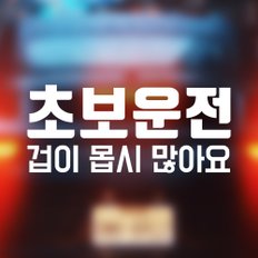 [차량스티커]우아한달팽이_자동차스티커 겁쟁이 초보운전