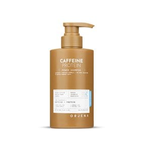 카페인 프로틴 파워 샴푸 500ml