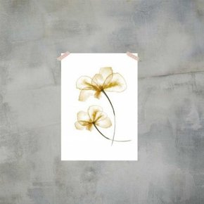 일러스트포스터 Pressed Flowers A4사이즈