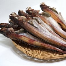 사그담 속초 중앙시장 맛집 반건조 코다리 41cm 2마리