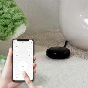 스마트 리모컨 허브 Mini