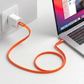 몬스터퀵케이블 240W 초고속 충전 케이블 C타입 CtoC