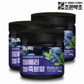 조은약초 빌베리 농축 분말 가루 파우더 대용량 300g x 3