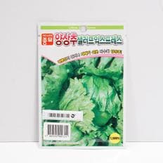  러드익스프레스 양상추 씨앗