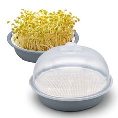  원형 새싹재배기 그레이 초록콩나물 재배기 교육용 (WE792E4)