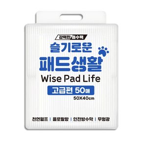 슬기로운 패드 고급형 50매