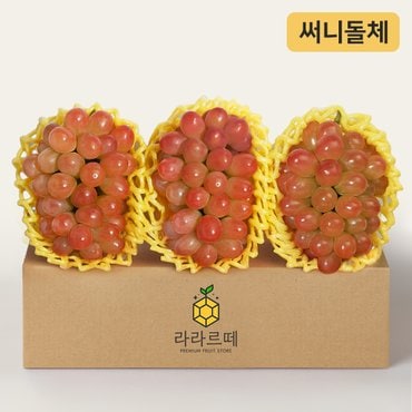 라라르떼 써니돌체포도 3입(1입 500g이상,총 1.5kg)