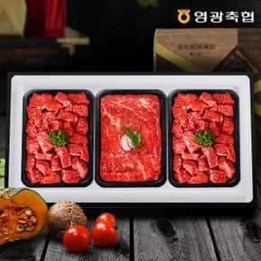 [냉장][영광축협]보리애 한우 실속정육세트2호 1.5kg(국거리,국거리,장조림 각500g,1등급이상)[아이스박스/전용백]