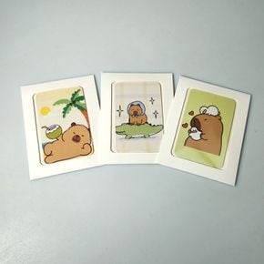 포토카드 보관 정리 포카 케이스 커버 화이트