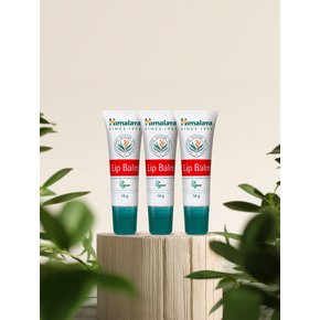 오리지널 비건 립밤 10g x3