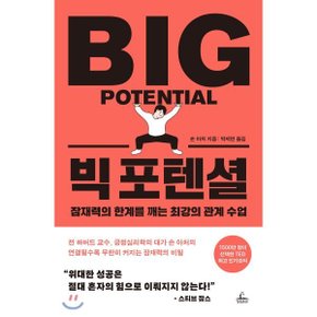(중고/상)빅 포텐셜 : 잠재력의 한계를 깨는 최강의 관계 수업