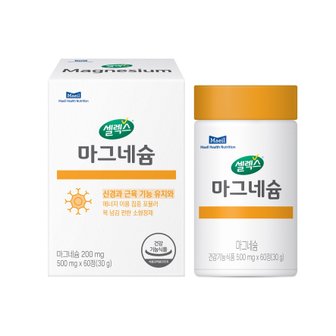 셀렉스 마그네슘 500mg*60정