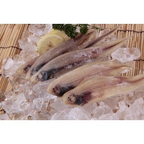 가락시장 반건조 박대 5미 (28~30cm 내외)