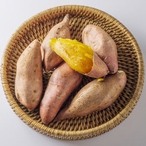햇고구마 세척 호풍미 고구마 3kg(한입)