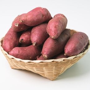햇고구마 세척 호풍미 고구마 3kg(한입)