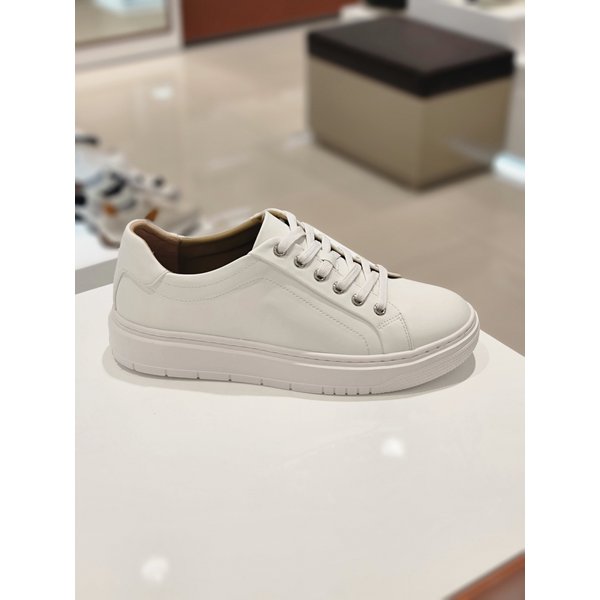 [부산점] 남성 데일리 스니커즈sbfrm05010