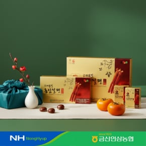 금산인삼농협 고려봉밀홍삼절편 20g x 10갑