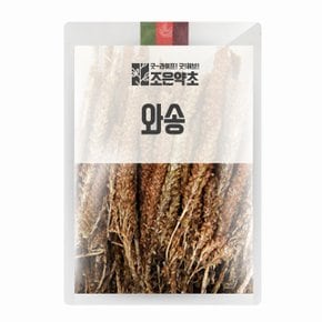 와송(기와솔,바위솔) 100g