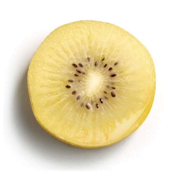 썬 골드키위 특대과 2.1kg (15입,개당 140g내외)