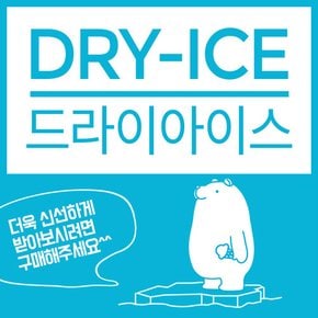 [푸딩팩토리] 드라이아이스 추가 (단독구매불가)