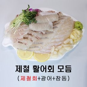 제철모듬회 [제철회+광어+참돔] 활어 모듬회 + 6종양념