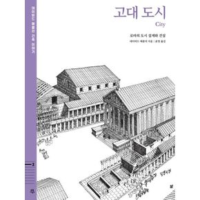 고대 도시 : 로마의 도시 설계와 건설(데이비드 매콜리...