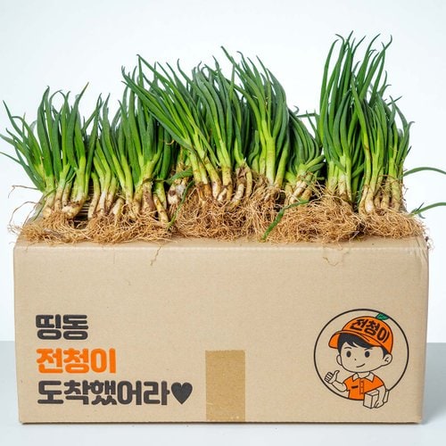 상품이미지5