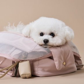 반려동물 인기 상품 ~15%