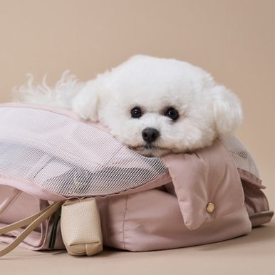 반려동물 인기 상품 ~15%