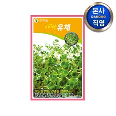 새싹 유채 씨앗 12g . 친환경 무농약 무소독 채소 수경 재배 씨 종자