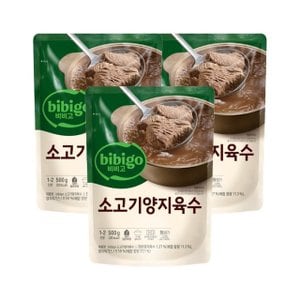 CJ제일제당 비비고 진국육수 소고기양지 500g x3개