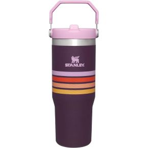 영국 스탠리 손잡이 텀블러 Stanley IceFlow™ Flip Straw Tumbler 30oz Varsity Plum Stripe 17