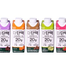 빙그레 더단백 5종 250ml 18개 초코 커피 카라멜 딸기 멜론 단백질 프로틴