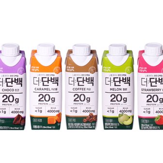  빙그레 더단백 5종 250ml 18개 초코 커피 카라멜 딸기 멜론 단백질 프로틴