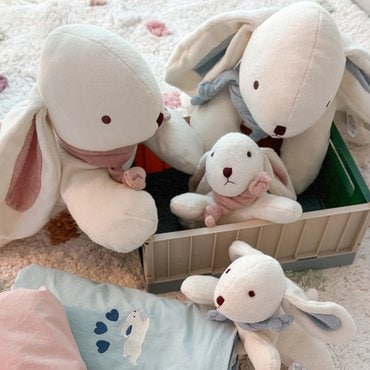 리틀아카이브 [크레므앙팡] 미니캐럿 오가닉 애착인형